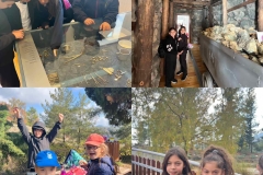 Environmental-Day-55