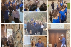 Environmental-Day-56