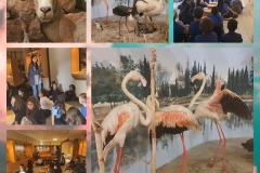 Environmental-Day-59