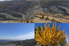 Environmental-Day-American-Academy-Limassol-10