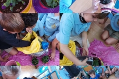 Environmental-Day-American-Academy-Limassol-15