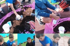 Environmental-Day-American-Academy-Limassol-16