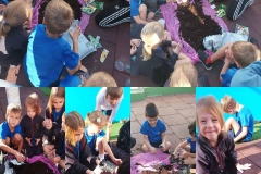 Environmental-Day-American-Academy-Limassol-17