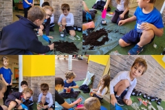 Environmental-Day-American-Academy-Limassol-19