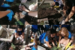Environmental-Day-American-Academy-Limassol-23