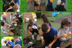 Environmental-Day-American-Academy-Limassol-27