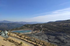 Environmental-Day-American-Academy-Limassol-28