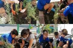 Environmental-Day-American-Academy-Limassol-29