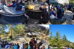 Environmental-Day-American-Academy-Limassol-6