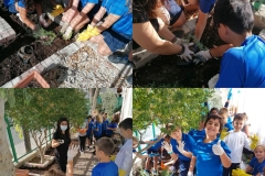 Environmental-Day-American-Academy-Limassol-9