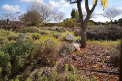 excursion-to-Cyherbia-1