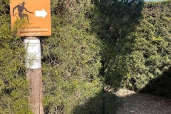 excursion-to-Cyherbia-12