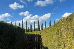 excursion-to-Cyherbia-13