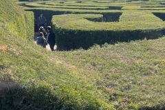 excursion-to-Cyherbia-2