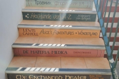 excursion-to-Cyherbia-20