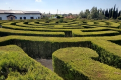 excursion-to-Cyherbia-23