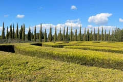 excursion-to-Cyherbia-3