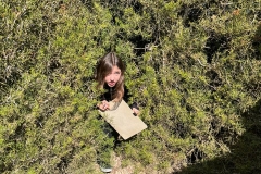 excursion-to-Cyherbia-30