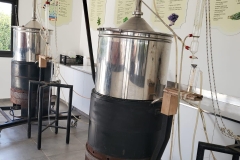 excursion-to-Cyherbia-6