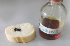 food-tests-1