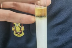 food-tests-2