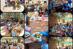 Golden-Donkeys-Farm-in-Skarinou-Village-1