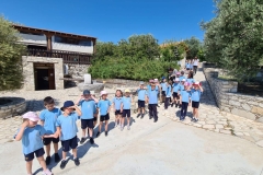 Golden-Donkeys-Farm-in-Skarinou-Village-12