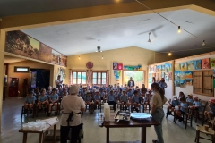 Golden-Donkeys-Farm-in-Skarinou-Village-2