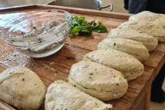 Golden-Donkeys-Farm-in-Skarinou-Village-3