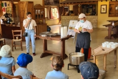 Golden-Donkeys-Farm-in-Skarinou-Village-4