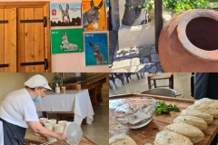 Golden-Donkeys-Farm-in-Skarinou-Village-6