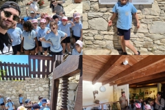 Golden-Donkeys-Farm-in-Skarinou-Village-8