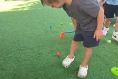 310061535_539196688209538_1256378430979971188_n