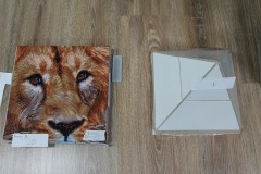 History-Competition-18