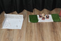 History-Competition-52