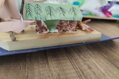 History-competition-17