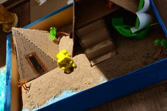 History-competition-22