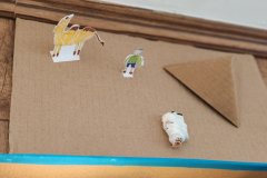 History-competition-48