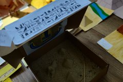 History-competition-8