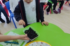 bake-an-olive-pie-10