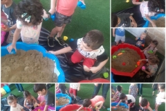 356628559_768022841993587_5676455184859137064_n