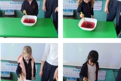 jelly-while-6