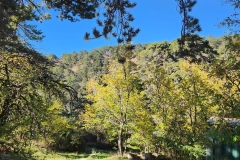 Jubilee-Hotel-in-the-Troodos-mountains-44