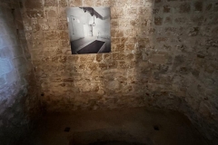 391587648_843172101145327_4793448018988466329_n