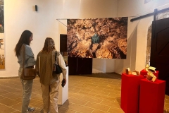 391625136_843172457811958_7604927593382720448_n