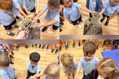 394549152_848514180611119_3502913089499656776_n