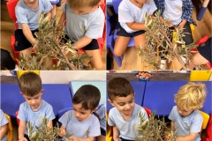 394629106_848514277277776_4513354062242408775_n