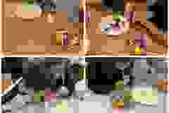 Merry-Christmas-from-our-primary-school-students-29