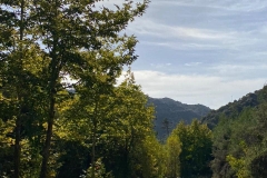 Opportunity-to-enhance-skills-2