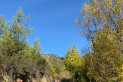 Opportunity-to-enhance-skills-4